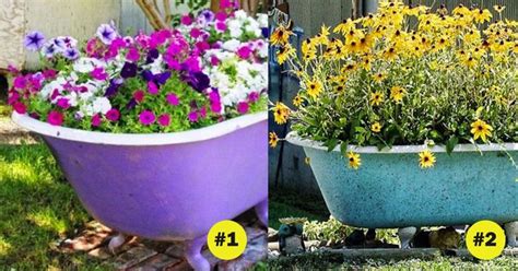 Easy raised bed garden idea: 6 ways to transform an old bathtub into a stunning planter ...