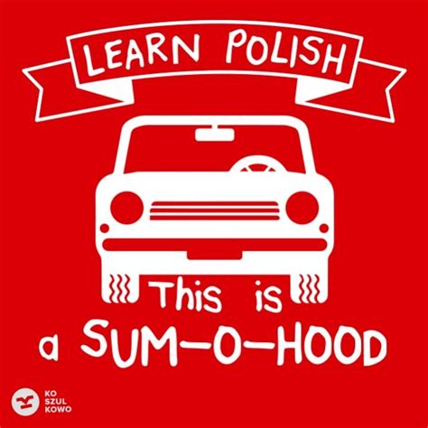 LEARN POLISH: SUM-O-HOOD - Koszulkowo | Learn polish, Learning, Hood