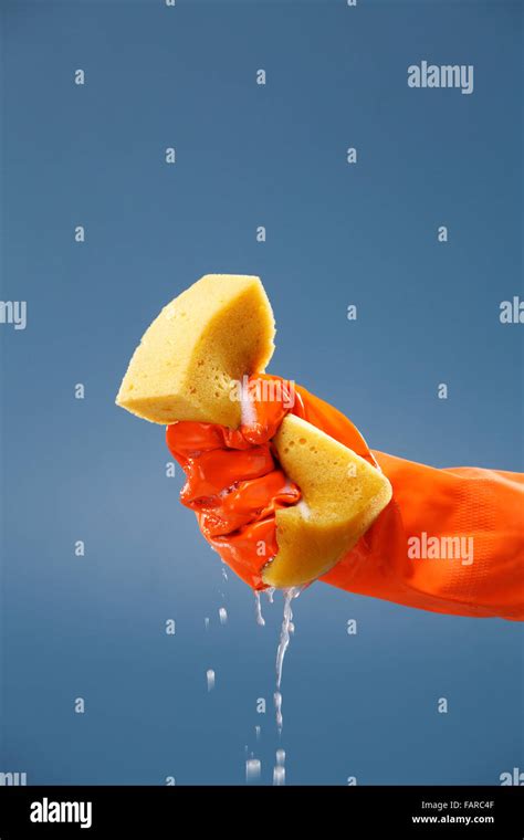 Squeezing Sponge Squeezing Wet Sponge Stock Photo Alamy