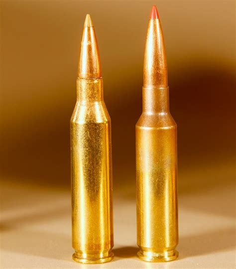 260 Remington Vs 65 Creedmoor Its All About Understanding Rifle