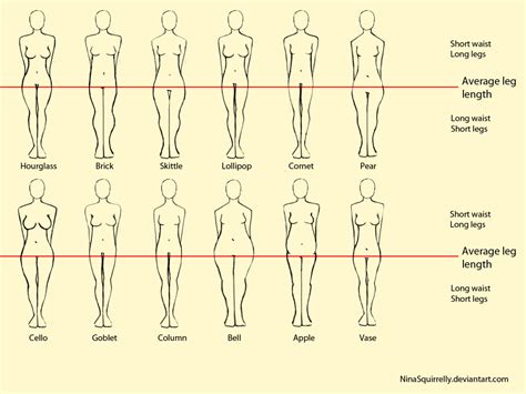 Human Body Types Chart The Best Porn Website