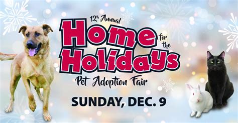 But, one of the most. Irvine Hosts 12th Annual Home for the Holidays Pet ...