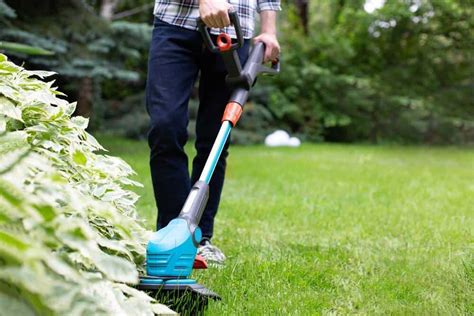 Best Electric Lawn Edgers For A Neat And Tidy Lawn Outdoor Happens