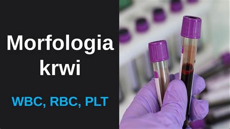 Morfologia Krwi Leukocyty WBC Erytrocyty RBC Oraz Trombocyty
