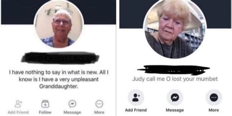 rampanttv grannies who need to stay the f k off facebook