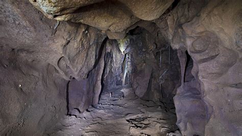 Cave Chamber Closed For 40000 Years Could Hold The Key To The Lives Of
