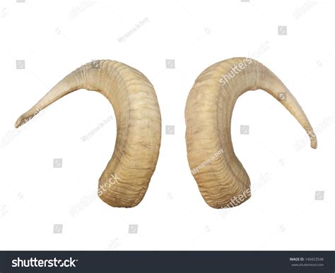 Animal Big Horns Stock Photo 140423548 Shutterstock