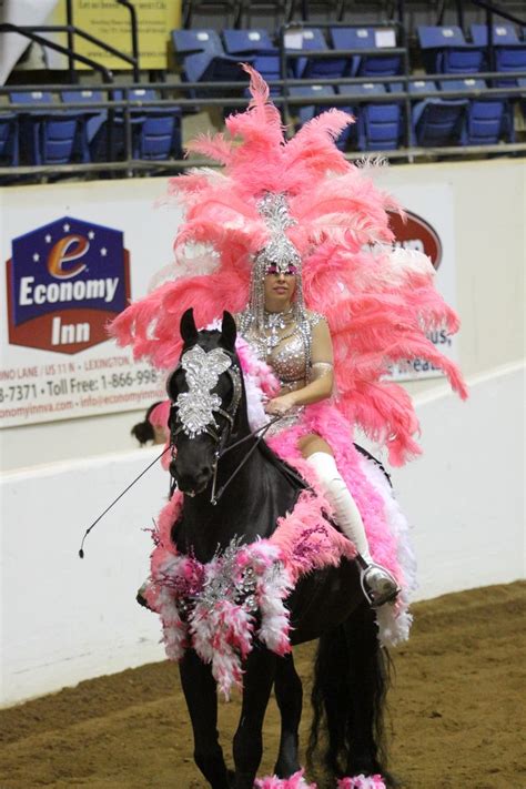 Friesian Costume Show Girl Friesian Mystical Photography Horse