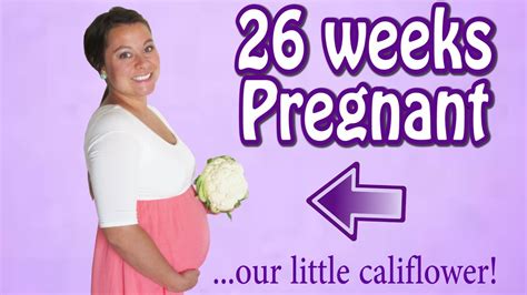 Third Trimester Doctor Appointment 26 Weeks Pregnant Youtube