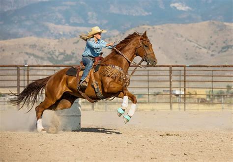 11 Different Horseback Riding Styles To Try