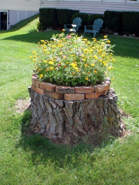How to select the best trees for your yard. How to put a tree stump in your yard to use! | Tree stump ...