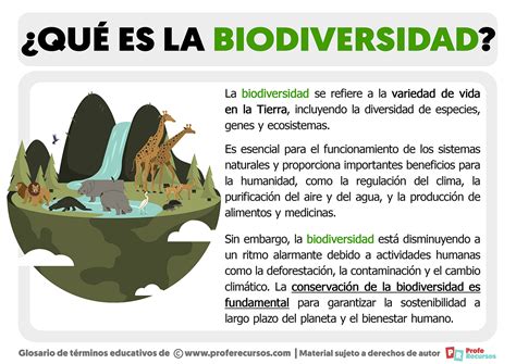 ¿qué Es La Biodiversidad