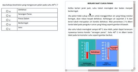 Contoh Soal Akm Literasi Pilihan Ganda Latihan Soal Akm Numerasi Hot