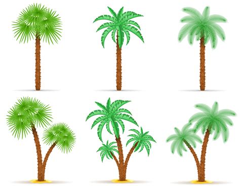 Palm Tree Vector Illustration Download Free Vectors