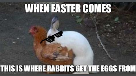 40 Funny Easter Egg Memes To Spill Funny Vibes Everywhere