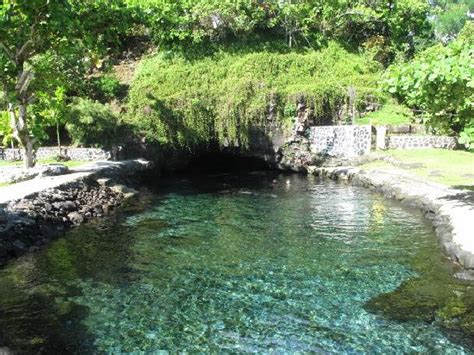 Piula Cave Pool Upolu Updated 2020 All You Need To Know Before You