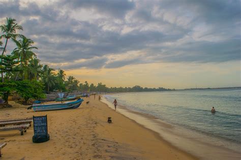 Top 10 Amazing Things To Do In Arugam Bay Sri Lanka
