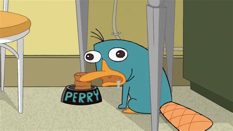 phineas and ferb perry the platypus