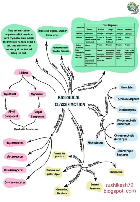 Biological Classification Class 11th Mind Map Cell Biology Notes