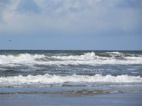 Kostenlose Foto Meer Strand Surfen Sommer Ferien Erholung