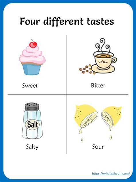 Sense of Taste Worksheets | Senses preschool, Five senses preschool