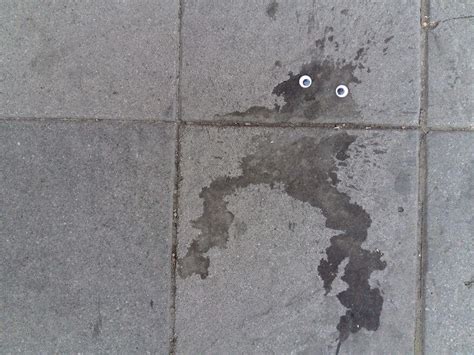 40 Street Objects With Googly Eyes That Will Make You Look Twice