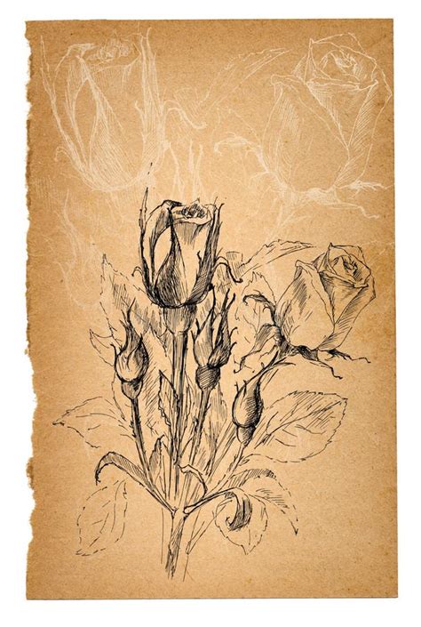 Flower Sketch Stock Illustration Illustration Of Hand 51401679