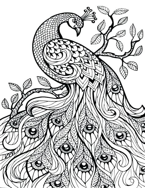 Advanced Coloring Pages Of Animals At Getdrawings Free Download