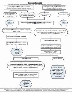 Eviction Process Flowchart Images Frompo
