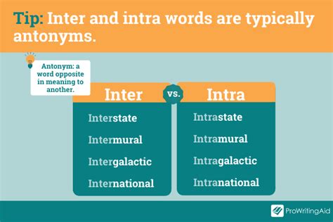 Inter Vs Intra Whats The Difference Writing Explained