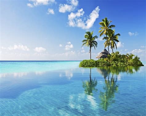 Hd Wallpaper Ocean Nature Sea Paradise Islands Palm Trees X Nature Oceans Hd Art