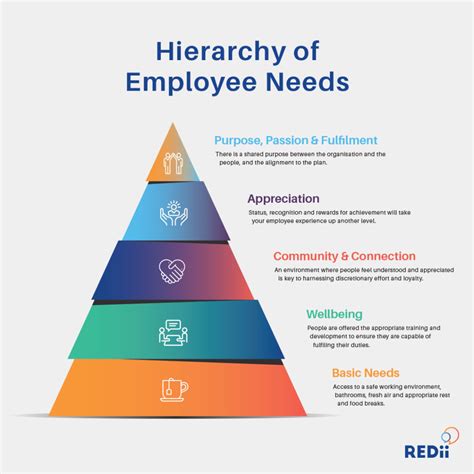 The Redii Hierarchy Of Employee Needs Redii