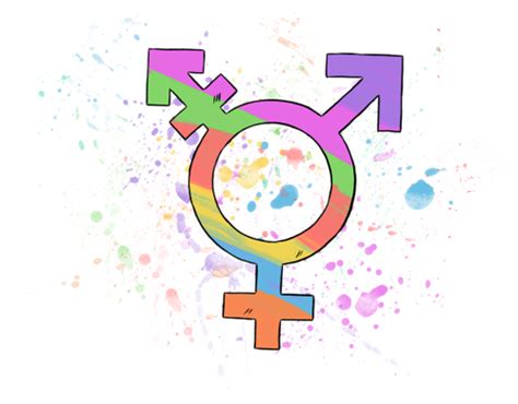 geschlechtsidentität und sexuelle orientierung zwischentöne