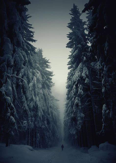 25 Magical Paths Begging To Be Walked Cool Photos Beautiful Pictures