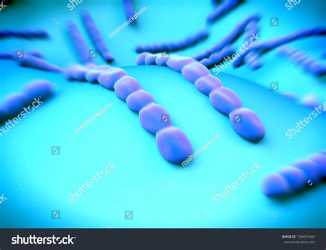 Streptococcus Pneumoniae Bacteria Artwork Stock Illustration 199455380