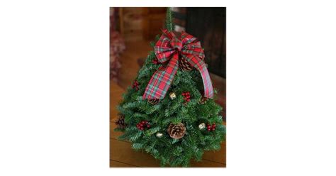 Live Decorated Balsam Tabletop Christmas Tree Best Live Tabletop