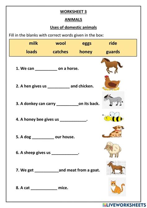 Animal Worksheet For Grade 1