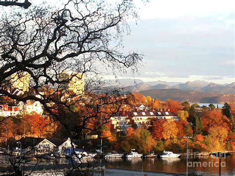 Autumn In Norway Photograph By Nishma Creations Fine Art America