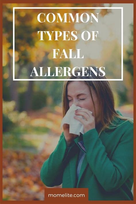 Common Types Of Fall Allergens Mom Elite