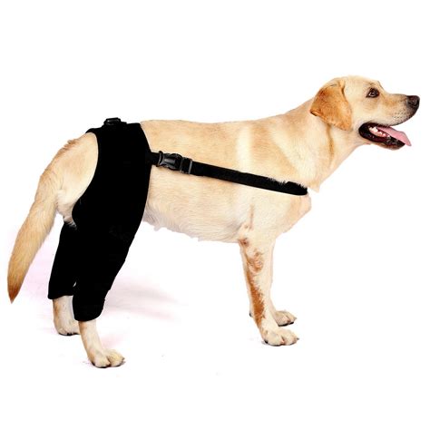 Automotive Protective Gear Dog Rear Leg Joint Brace Heals Hock Wrap Pet