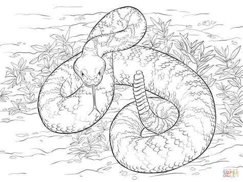 Some of the coloring page names are cute snake in kufia coloring, king cobra coloring at, collection of fantastic snake coloring, baby snake click on the coloring page to open in a new window and print. Rattlesnakes coloring pages download and print for free