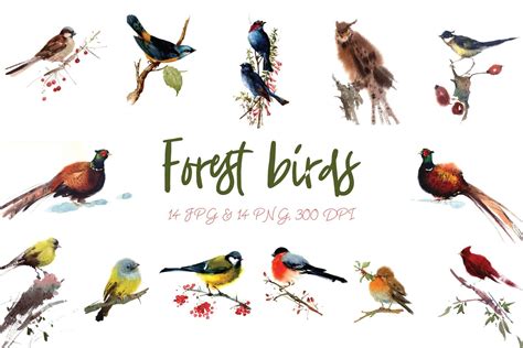 Watercolor forest birds | Watercolor illustration, Watercolor, Watercolor texture