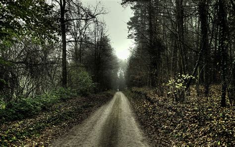 1920x1200 Forest Australia Path Dirt Road Wallpaper Coolwallpapersme