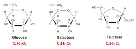 Sucrose is the combination of these two simple sugars. Mythes over suiker ontkracht - Puur Suzanne. | FOOD ...