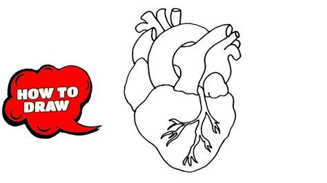 Https://tommynaija.com/draw/how To Draw A 3d Human Heart