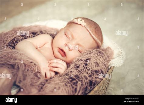 Newborn Baby Girl Sleeping In A Basket Concept Shooting Newborns