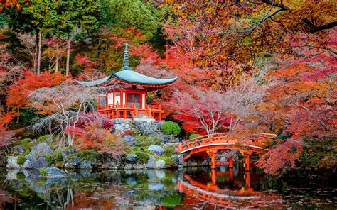 Japan Autumn Wallpapers Top Free Japan Autumn Backgrounds