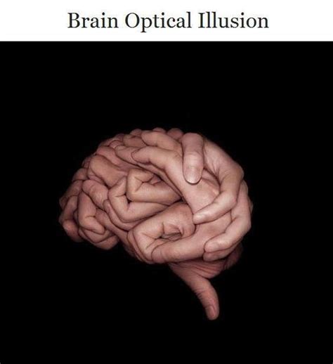 Brain Optical Illusion Image