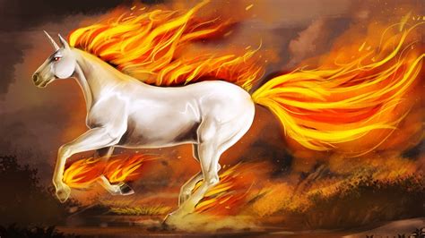 20 Magic Horses Wallpapers Wallpaperboat