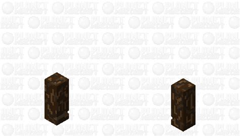 Dark Oak Wood Minecraft Skin